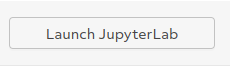 Screenshot of "Launch Jupyter" button